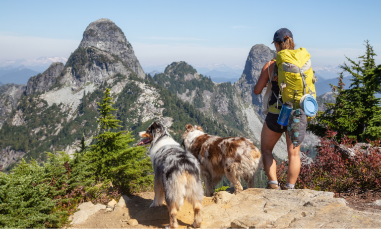 Dog Friendly Hiking: Essential Tips For Hiking With Your Pet