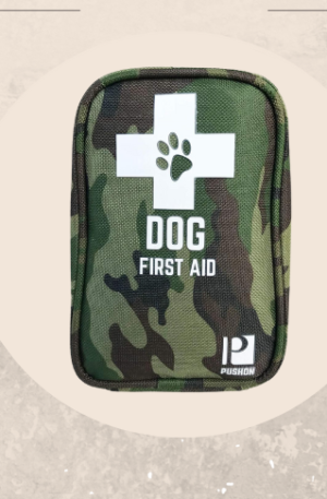 First aid kit for dogs