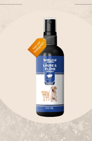 Flea prevention spray for dogs