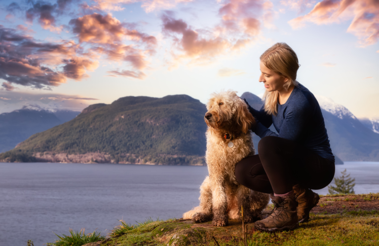 Best Trails for Hiking with Pets in Austria